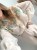 IMG_7356.jpeg